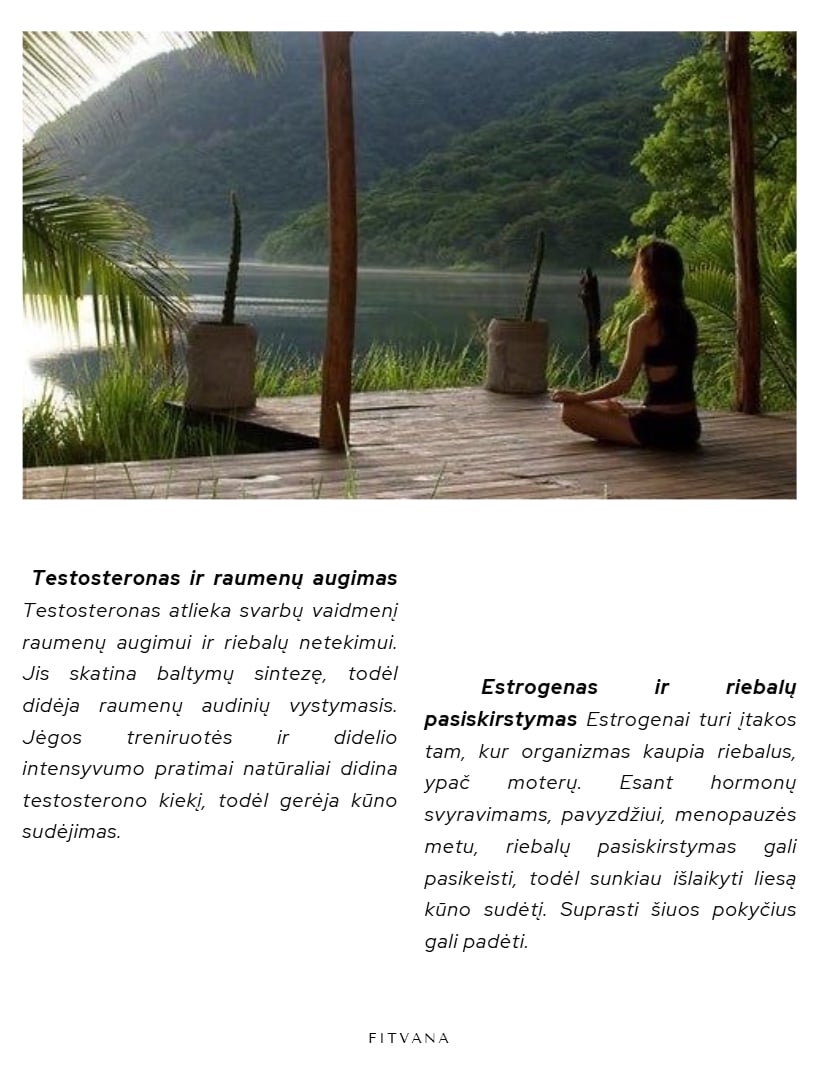 Sėkmingas Svorio Metimas: Pilnas Gidas — FITVANA